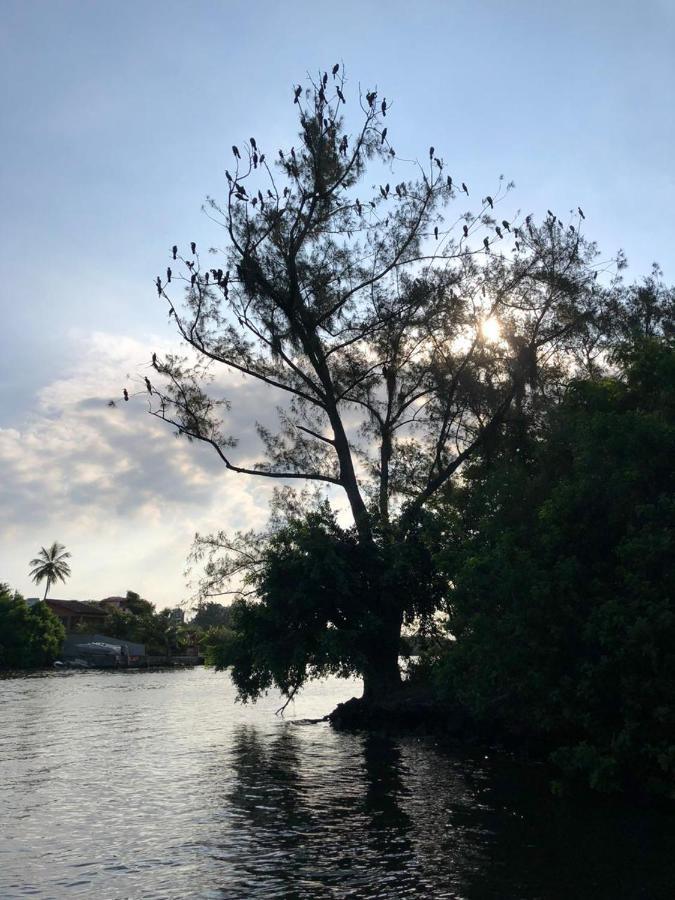 Paraiso Na Ilha Da Gigoia Rio de Janeiro Exteriör bild