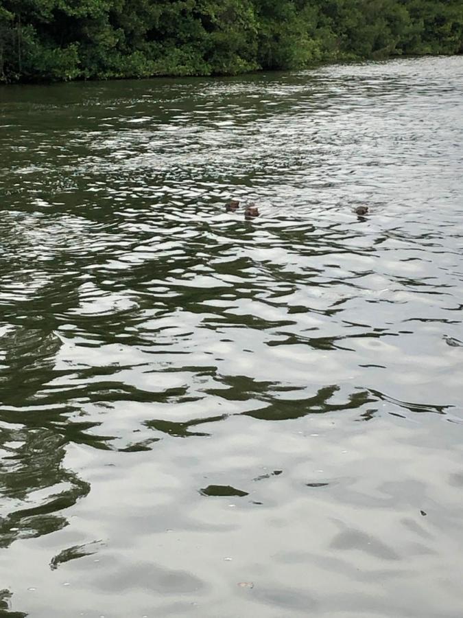 Paraiso Na Ilha Da Gigoia Rio de Janeiro Exteriör bild