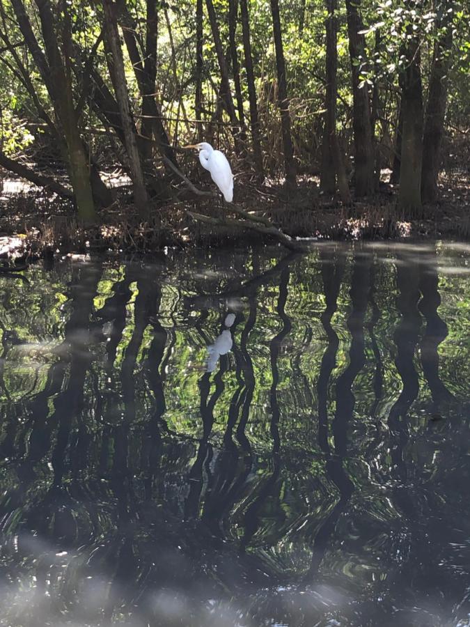 Paraiso Na Ilha Da Gigoia Rio de Janeiro Exteriör bild